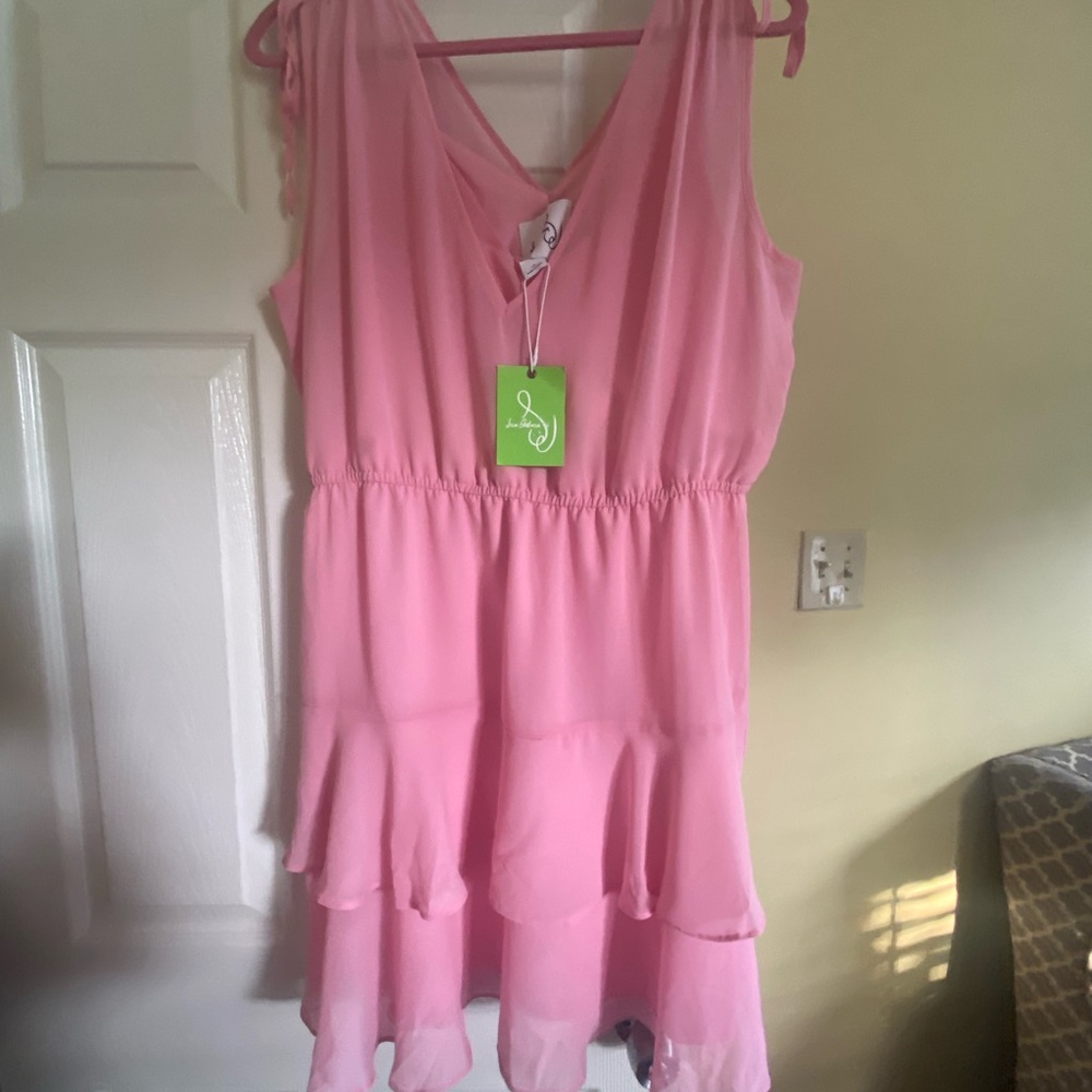 NWT women dress blush
